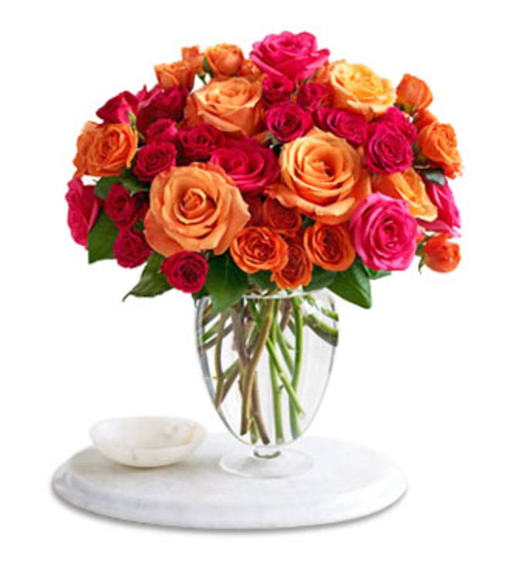 Vase with 60 Stems of Mixed Coloured Roses