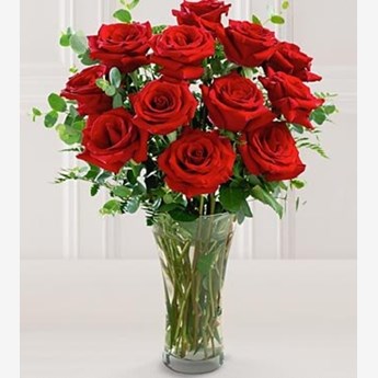 Dozen Red Roses