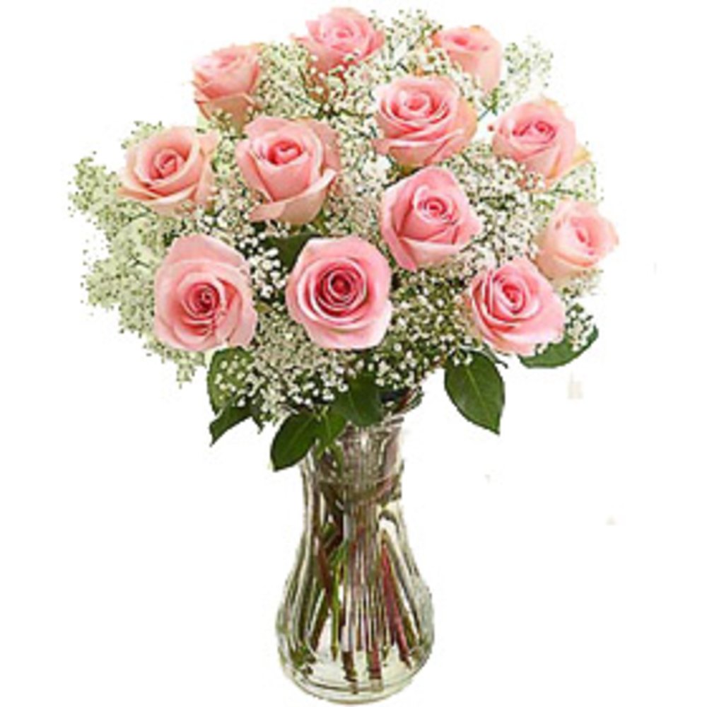 Pink Roses with Gypsophelia