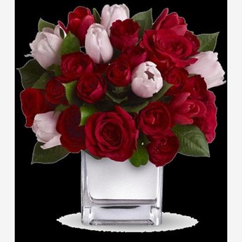 Red Roses & Red & Pink Tulips