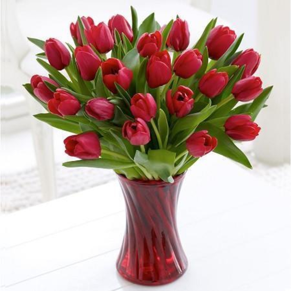 20 Red Tulips