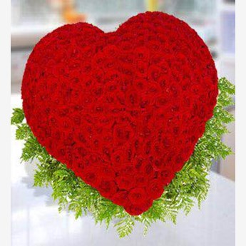 A Piece of my Heart