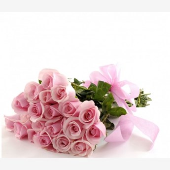 Soft pink Titanic Roses