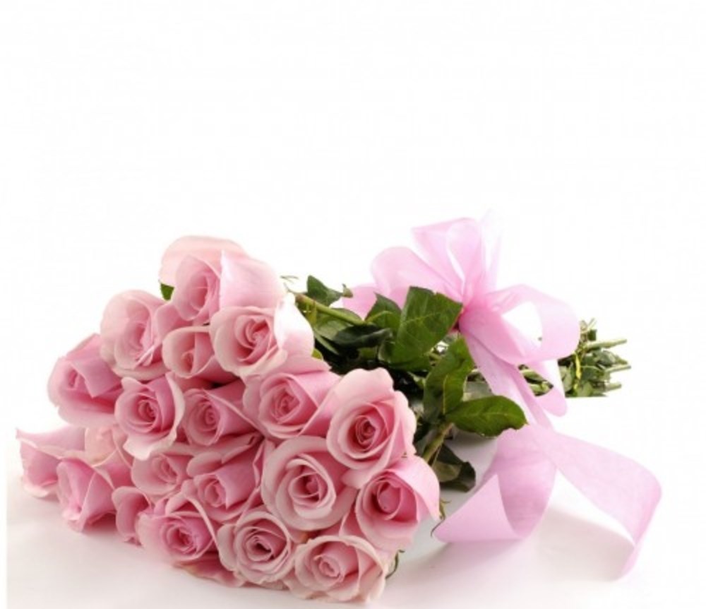 Soft pink Titanic Roses Send Flowers To Dubai Online Pink Roses