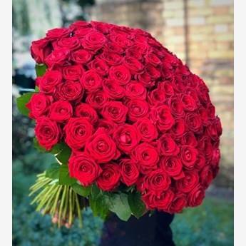 Premium 500 Red Roses Bouquet | Online Florist UAE