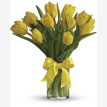 Sunny Yellow Tulips