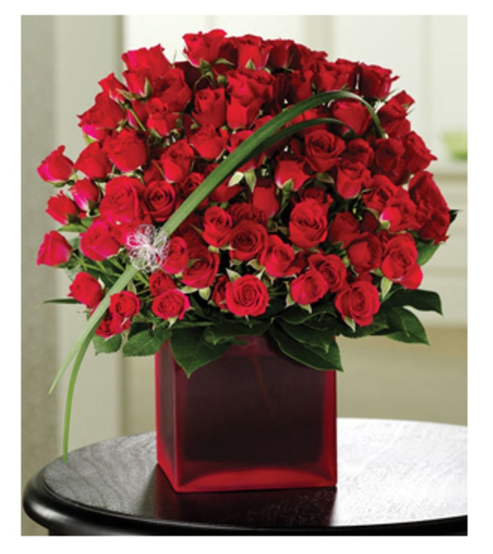 Rose Rapture Roses and Rapture | Send Flowers To Abu Dhabi From Arabian Florist