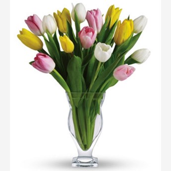 Vase with 20 Stems of Mixed Coloured Tulips.
