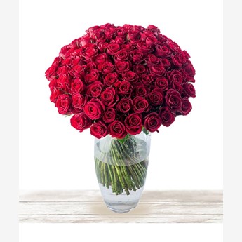 Lovely Roses