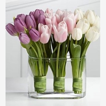 30 Tulips in a Vase