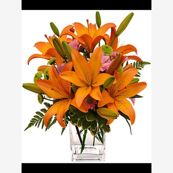 Orange Asiatic Lily + Orange & Red Roses + Peach Carnations - The