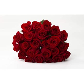 Bunch with 20 Red Roses