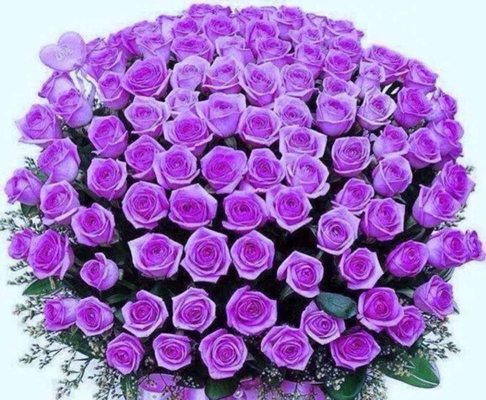 Marvelous Purple Roses Bouquet