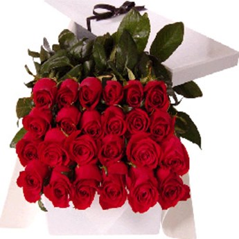 24 Red Roses