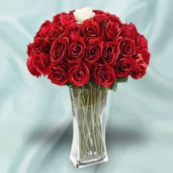 Red Rose Vase